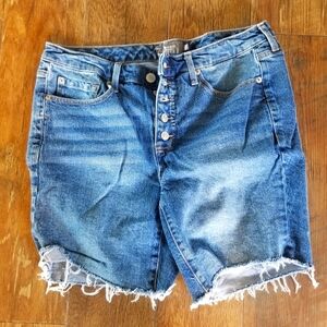 Torrid Jeans Shorts, 10